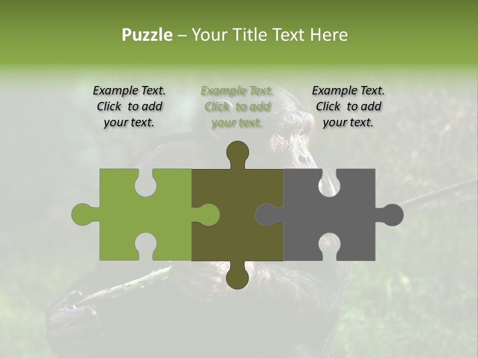 Chimp Furry Wild PowerPoint Template