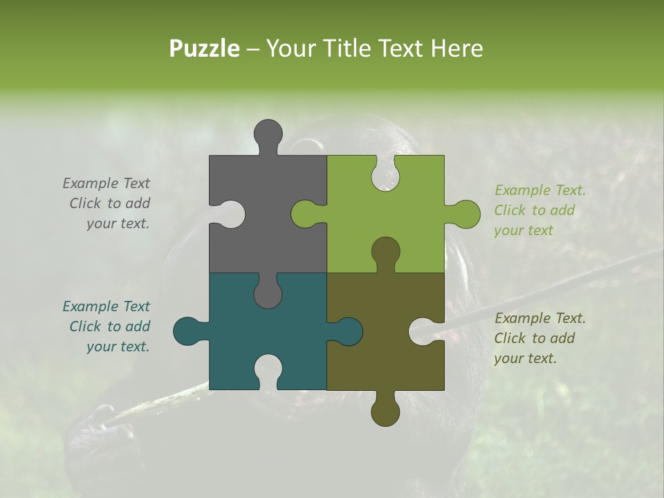 Chimp Furry Wild PowerPoint Template