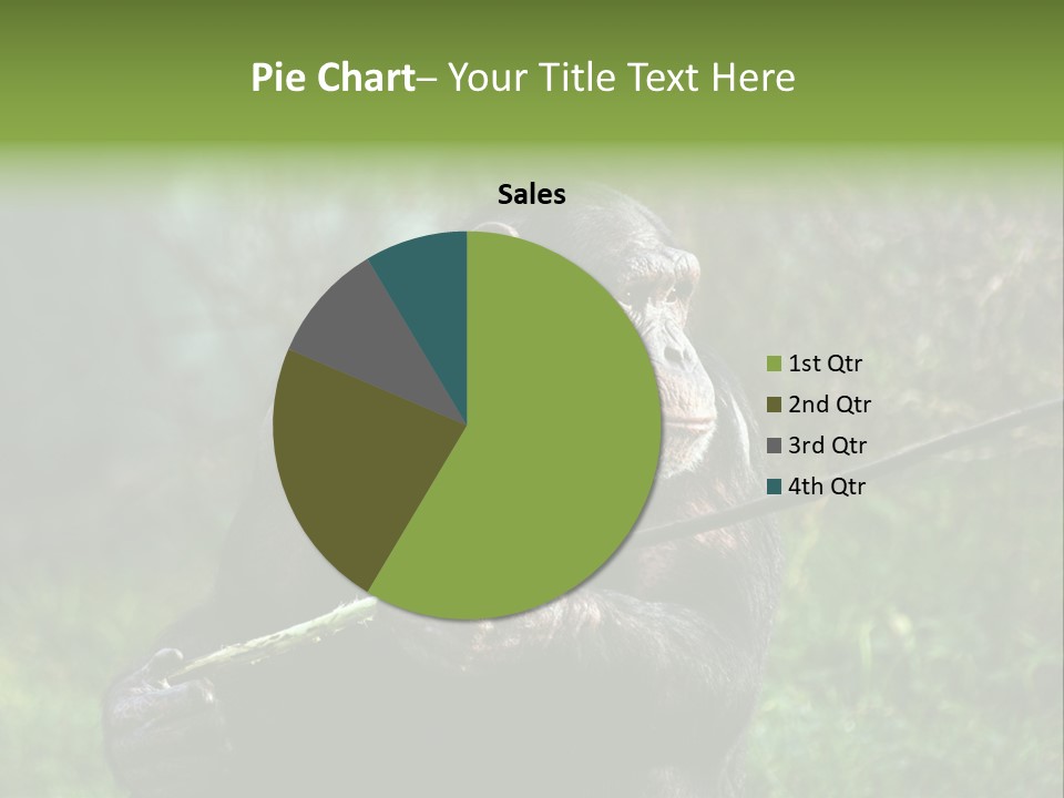 Chimp Furry Wild PowerPoint Template