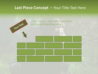 Chimp Furry Wild PowerPoint Template