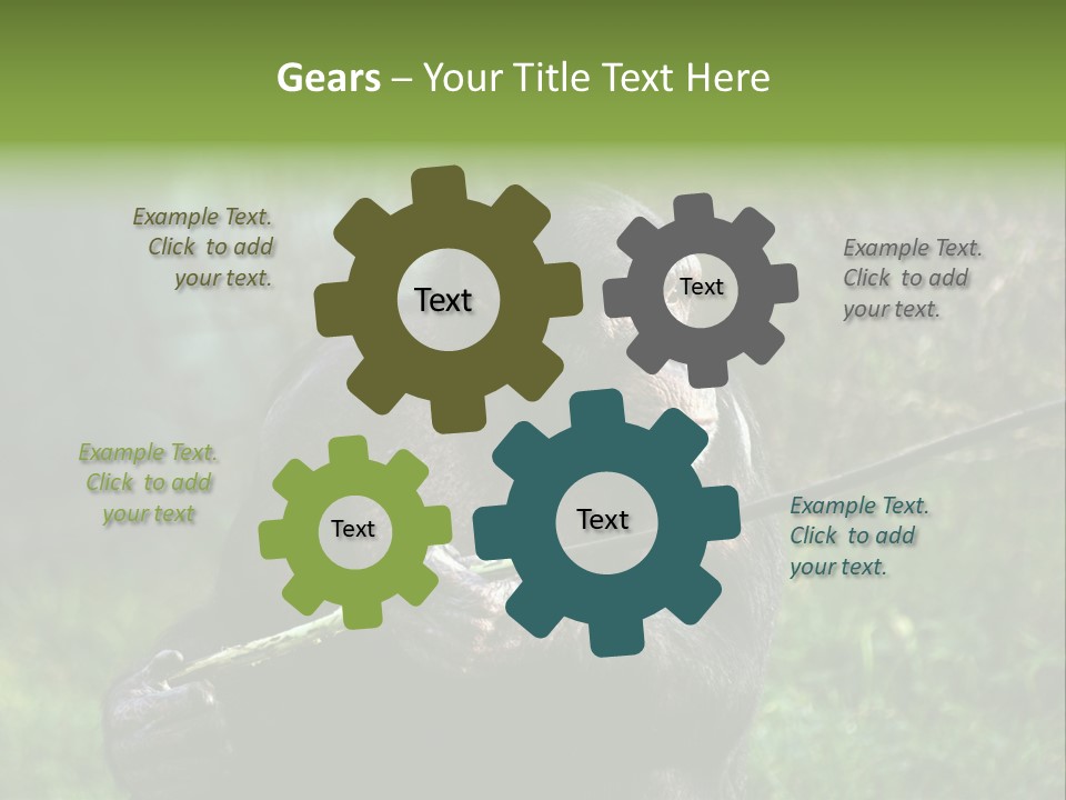 Chimp Furry Wild PowerPoint Template