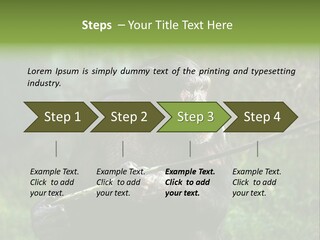 Chimp Furry Wild PowerPoint Template