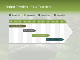 Chimp Furry Wild PowerPoint Template