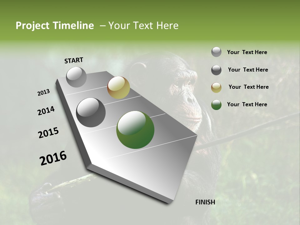 Chimp Furry Wild PowerPoint Template