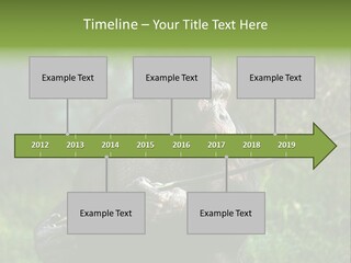 Chimp Furry Wild PowerPoint Template