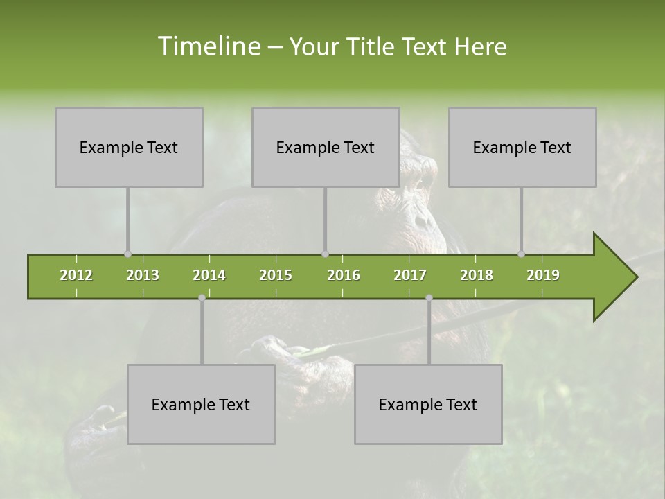 Chimp Furry Wild PowerPoint Template