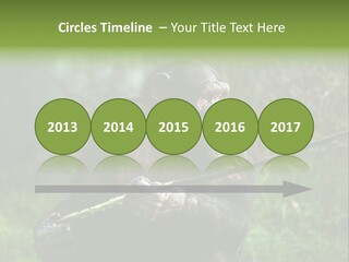 Chimp Furry Wild PowerPoint Template