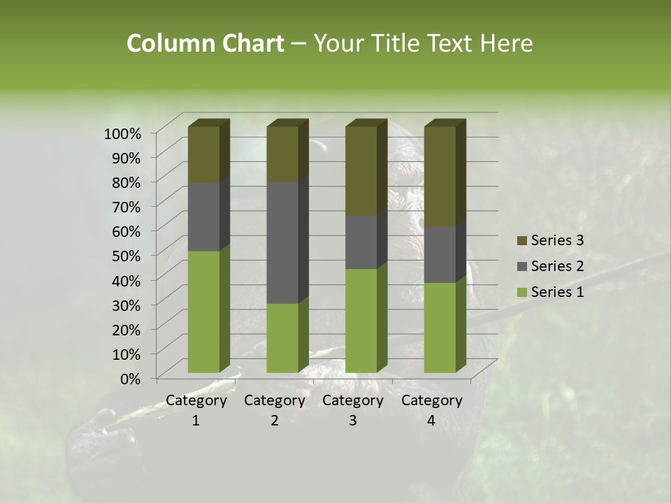 Chimp Furry Wild PowerPoint Template