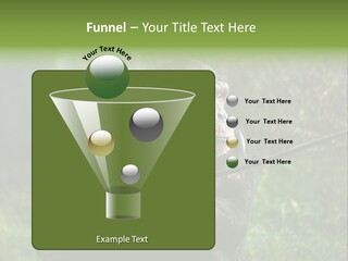 Chimp Furry Wild PowerPoint Template