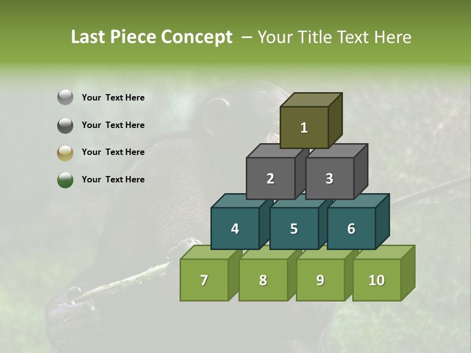 Chimp Furry Wild PowerPoint Template