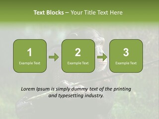 Chimp Furry Wild PowerPoint Template