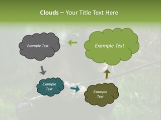 Chimp Furry Wild PowerPoint Template