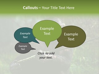 Chimp Furry Wild PowerPoint Template