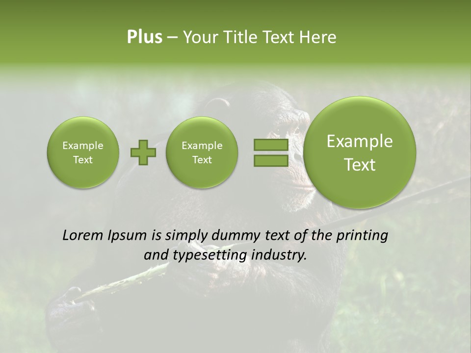Chimp Furry Wild PowerPoint Template