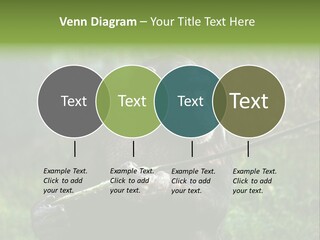 Chimp Furry Wild PowerPoint Template