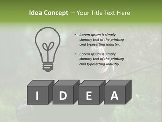 Chimp Furry Wild PowerPoint Template