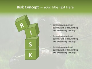 Chimp Furry Wild PowerPoint Template