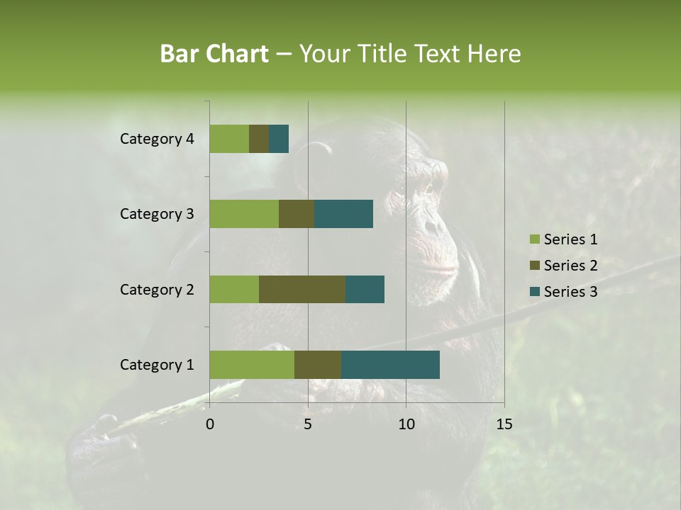 Chimp Furry Wild PowerPoint Template