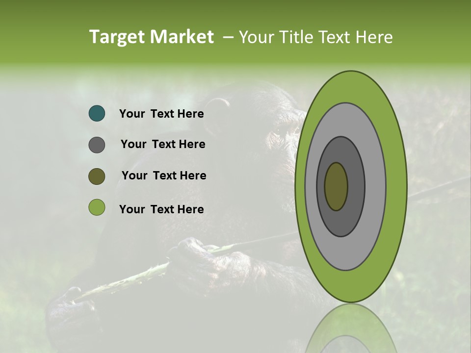 Chimp Furry Wild PowerPoint Template