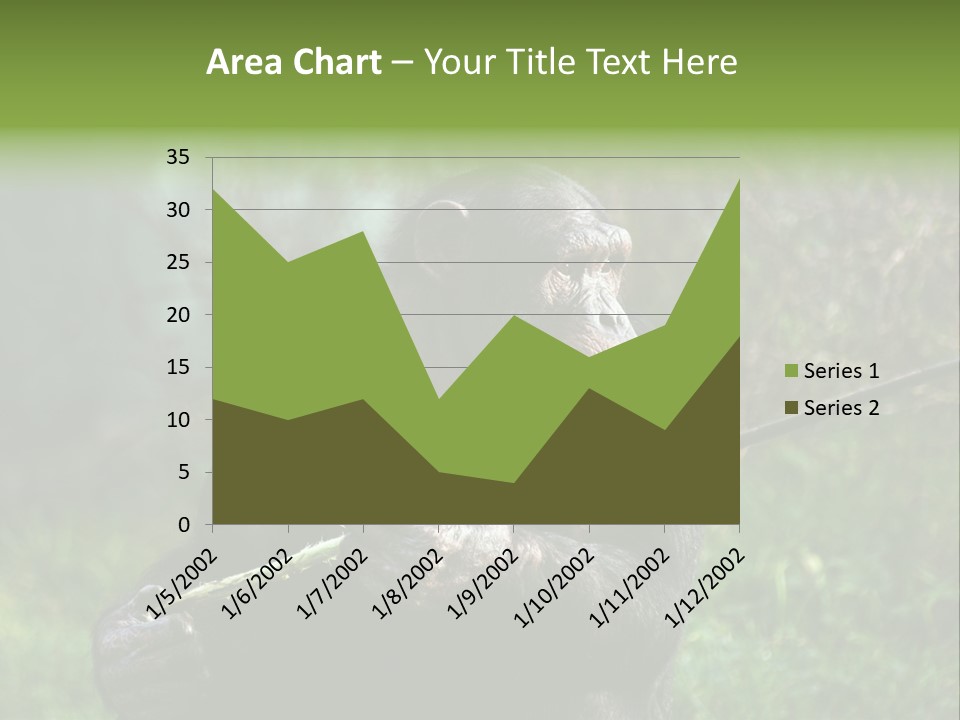 Chimp Furry Wild PowerPoint Template