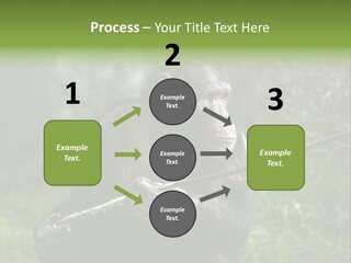 Chimp Furry Wild PowerPoint Template