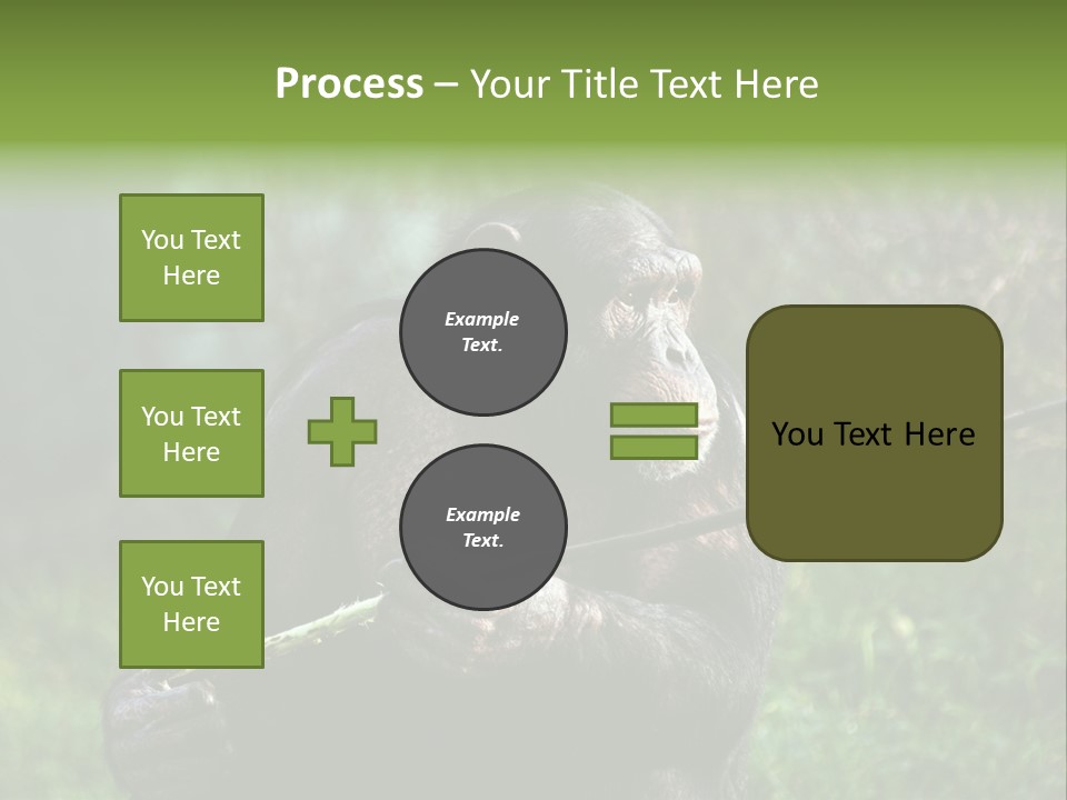 Chimp Furry Wild PowerPoint Template
