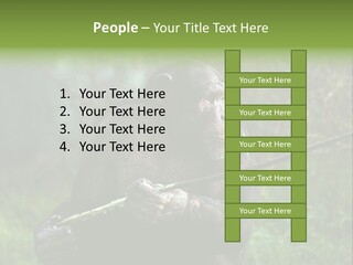 Chimp Furry Wild PowerPoint Template