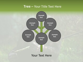 Chimp Furry Wild PowerPoint Template
