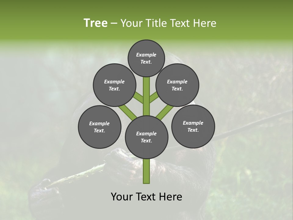 Chimp Furry Wild PowerPoint Template