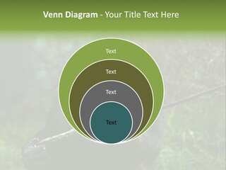 Chimp Furry Wild PowerPoint Template