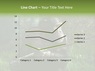 Chimp Furry Wild PowerPoint Template
