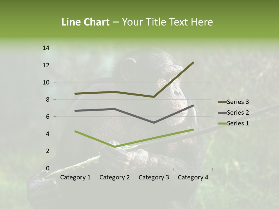 Chimp Furry Wild PowerPoint Template