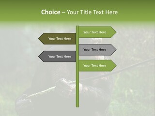 Chimp Furry Wild PowerPoint Template