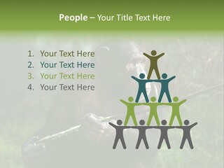 Chimp Furry Wild PowerPoint Template