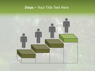 Chimp Furry Wild PowerPoint Template
