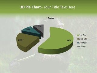 Chimp Furry Wild PowerPoint Template