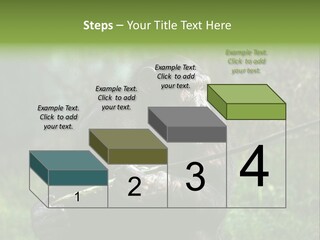 Chimp Furry Wild PowerPoint Template