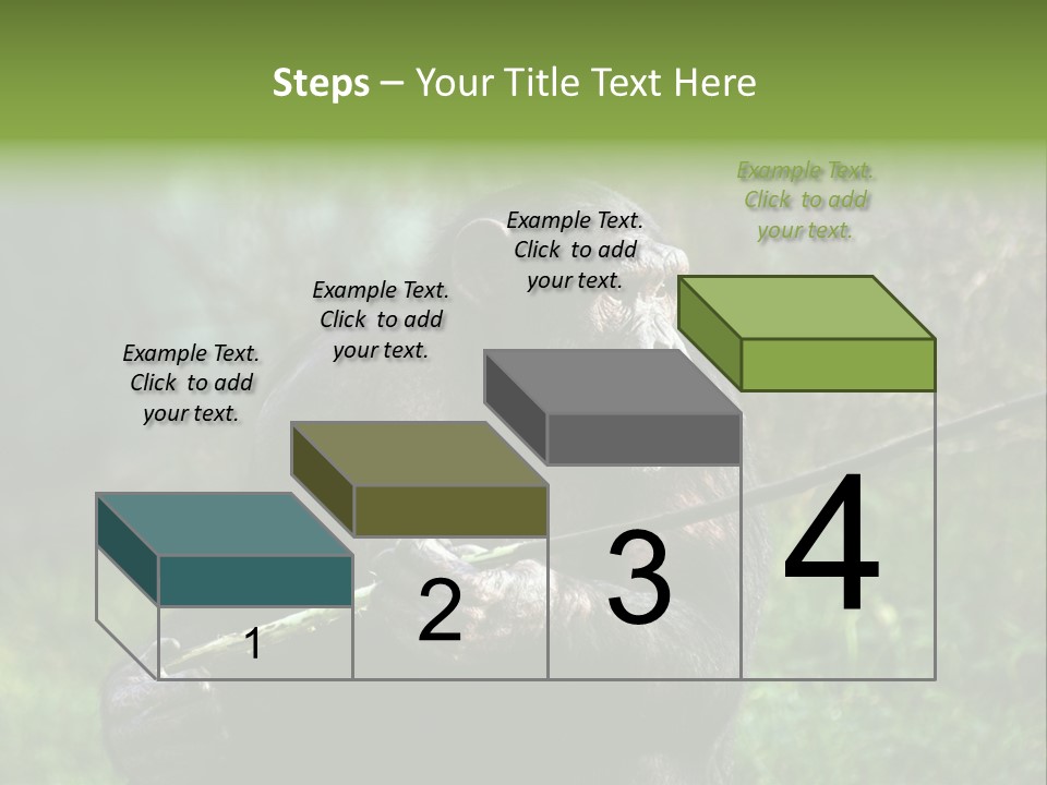 Chimp Furry Wild PowerPoint Template