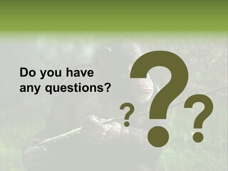 Chimp Furry Wild PowerPoint Template