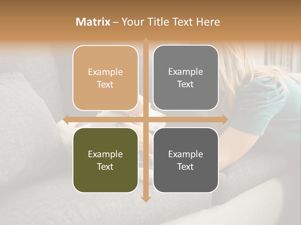 Cooling Arranging Netting PowerPoint Template
