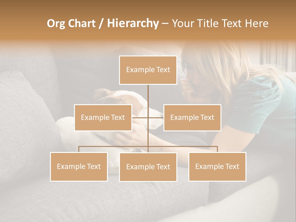 Cooling Arranging Netting PowerPoint Template