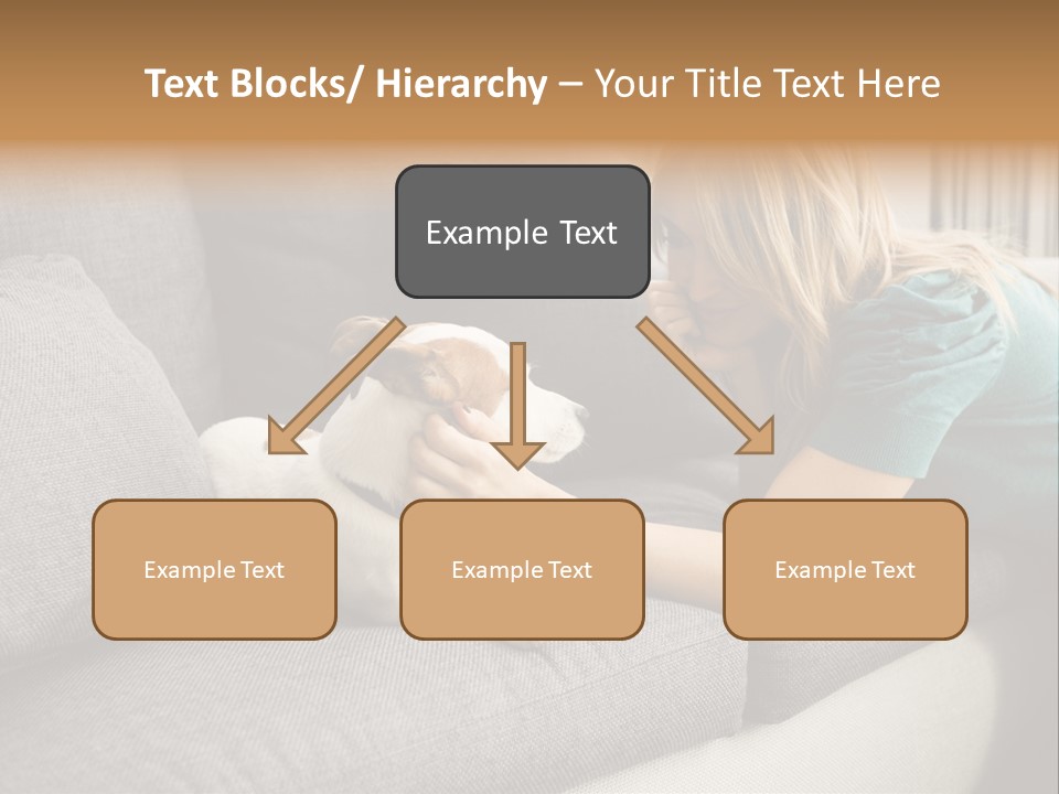 Cooling Arranging Netting PowerPoint Template
