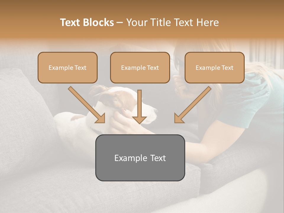 Cooling Arranging Netting PowerPoint Template