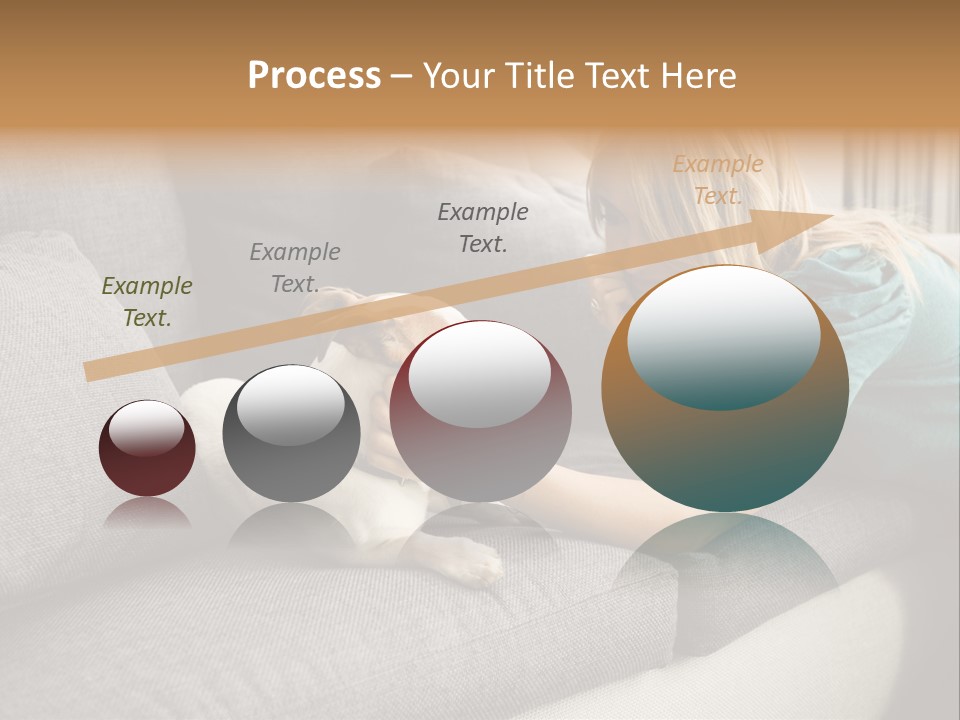 Cooling Arranging Netting PowerPoint Template