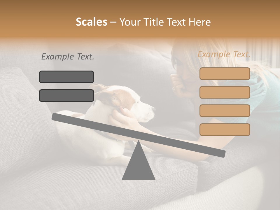 Cooling Arranging Netting PowerPoint Template