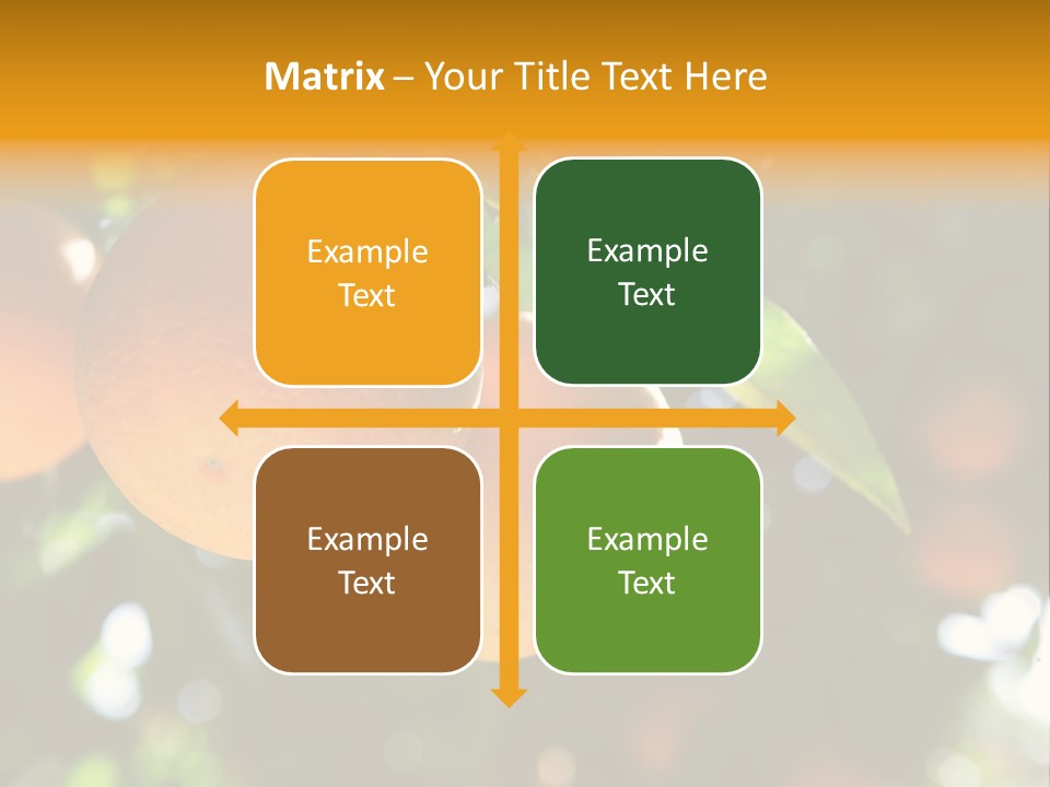 Farming Healthy Citrus PowerPoint Template