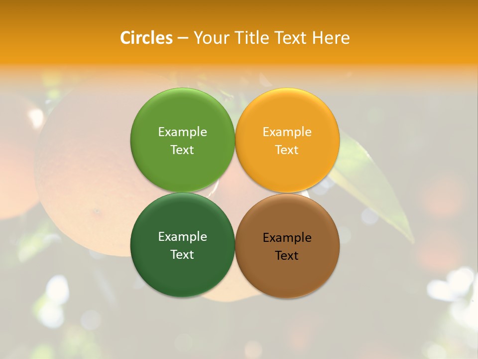 Farming Healthy Citrus PowerPoint Template