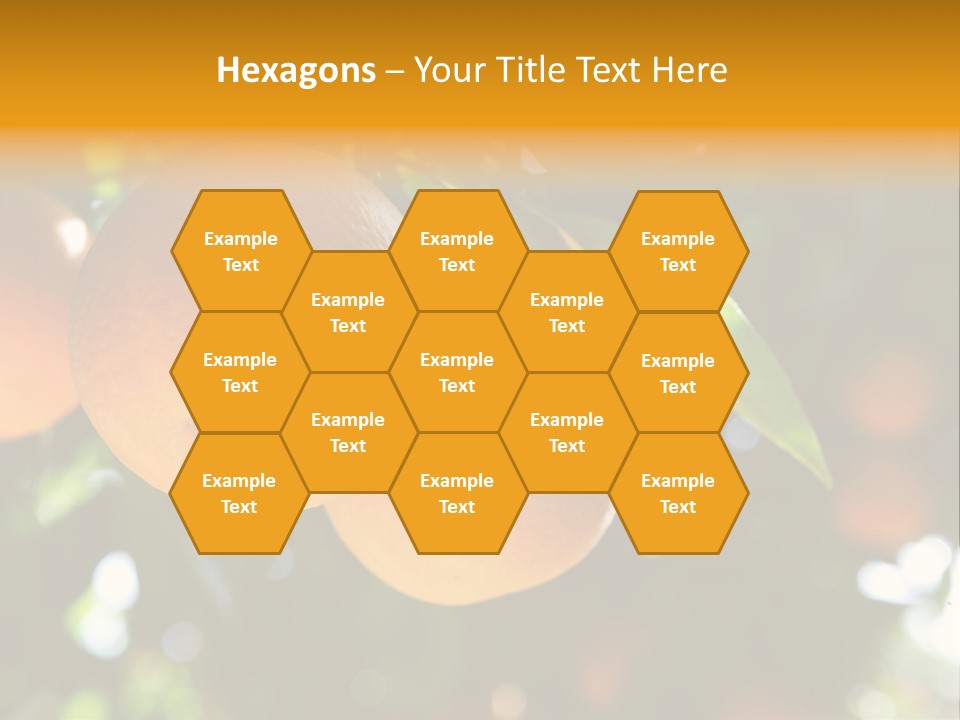 Farming Healthy Citrus PowerPoint Template