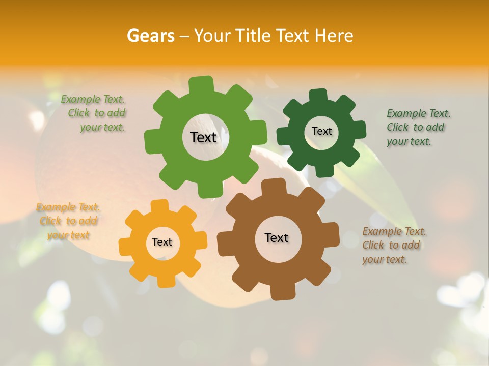 Farming Healthy Citrus PowerPoint Template