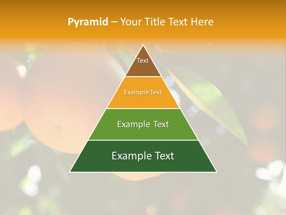 Farming Healthy Citrus PowerPoint Template